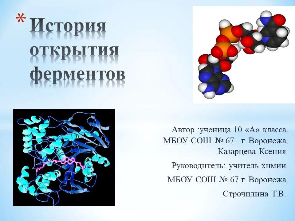 Ферменты коротко. Открытие ферментов. История открытия ферментов. История открытия ферментов кратко. Ферменты презентация.