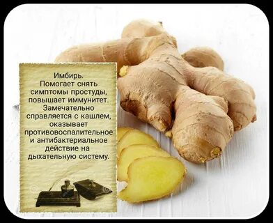 Помогает ли имбирь