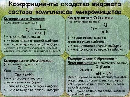 Абсолютное сходство