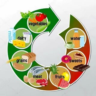 Meat vegetables dairy cereals drinks dessert others