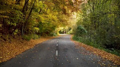Fall start