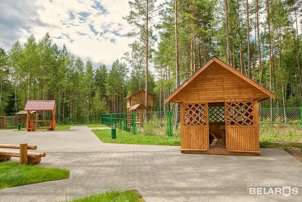 Березинский биосферный заповедник. Беларусь