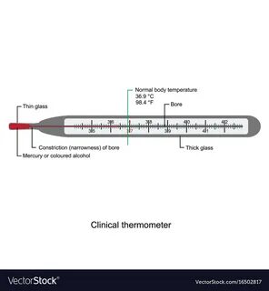 Clinical thermometer 2025