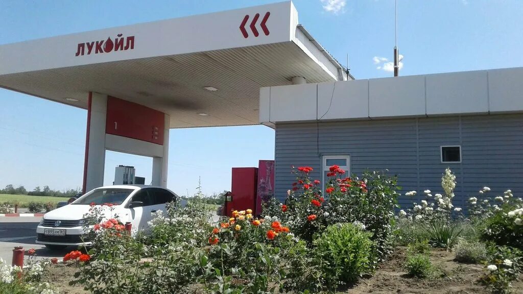 азс лукойл в ростовской области. азс ростовская область. азс азс формула-1. азс ростовская область. лукойл в ростовской области.