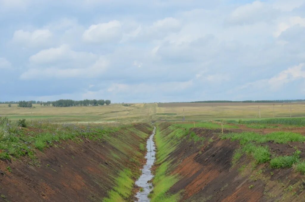 коренные мелиорации. коренные мелиорации. биологическая мелиорация водоемов. мелиорация почв. мелиорация.