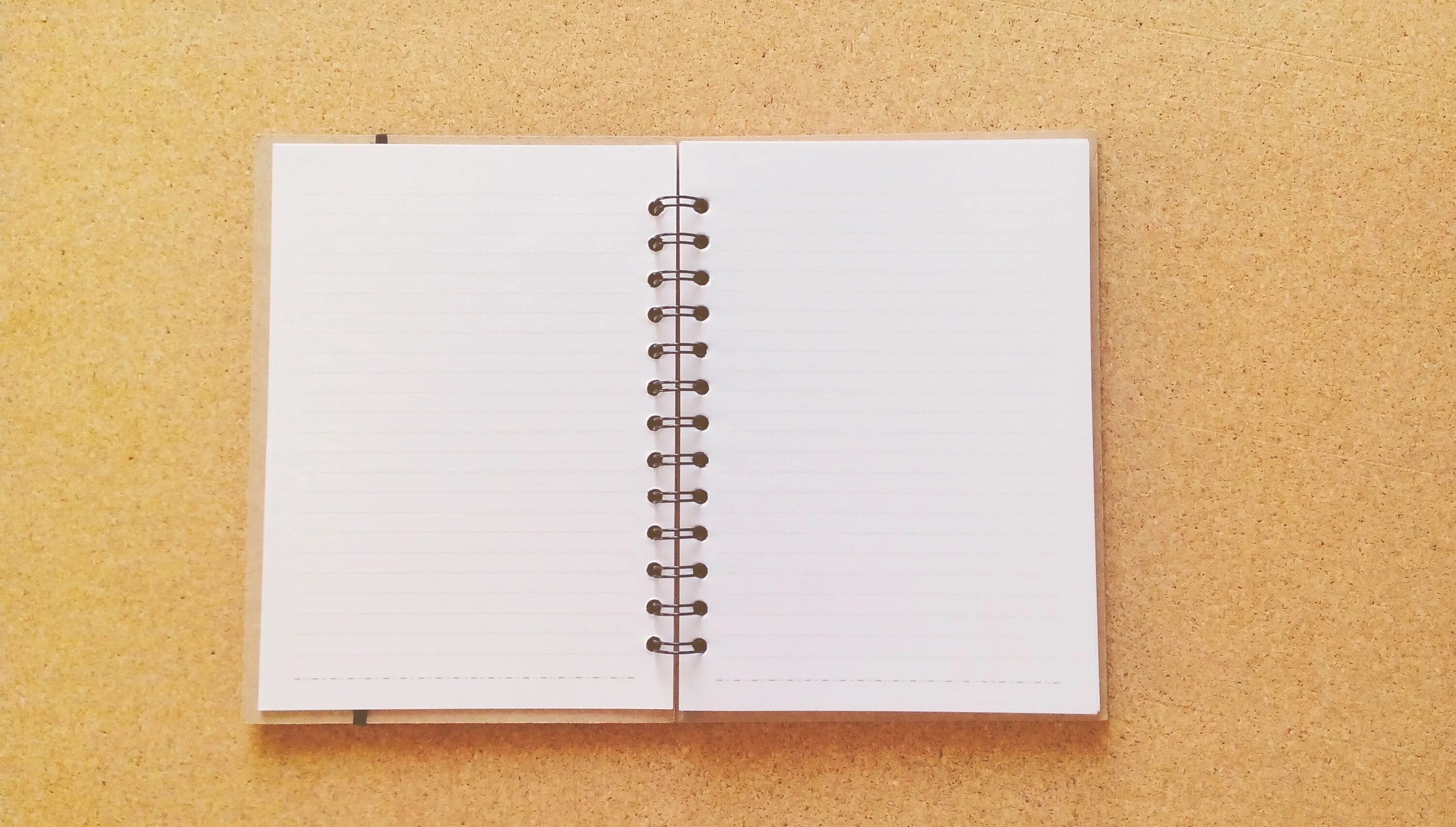 The open notebook