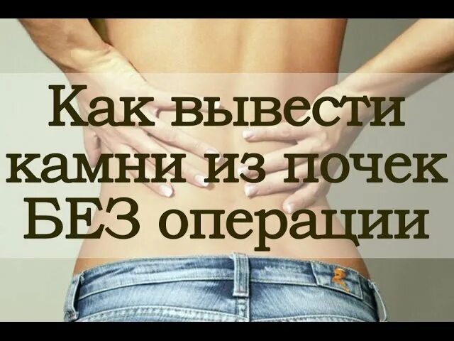 Выведение камней из почек. Как вывести камни из почек. Как вывести камни из почек в домашних. Как вывести камни без операции