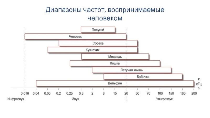 Диапазоны частот воспринимаемые человеком и некоторыми животными. Частотный диапазон. Диапазоны частот. Слышимый диапазон частот для человека. На рисунке приведены частоты воспринимаемые органами слуха