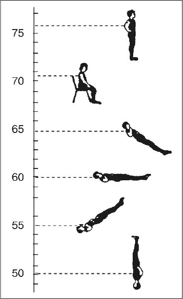 Физиология человека спортивная солодков сологуб. Влияние положения тела на ЧСС. Влияние положения тела на частоту сердечных сокращений. Влияние положения тела на ЧСС сокращений ортоклиностатическая.