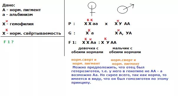 Между рецессивными генами гемофилии и дальтонизма. Генотип мужчины больного гемоыилии. Генотип мужчины больного гемофилией. Генотипы женского и мужского гемофилией. Задачи на сцепленное с полом наследование гемофилия.