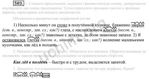 Русский язык 6 класс учебник разумовская 447