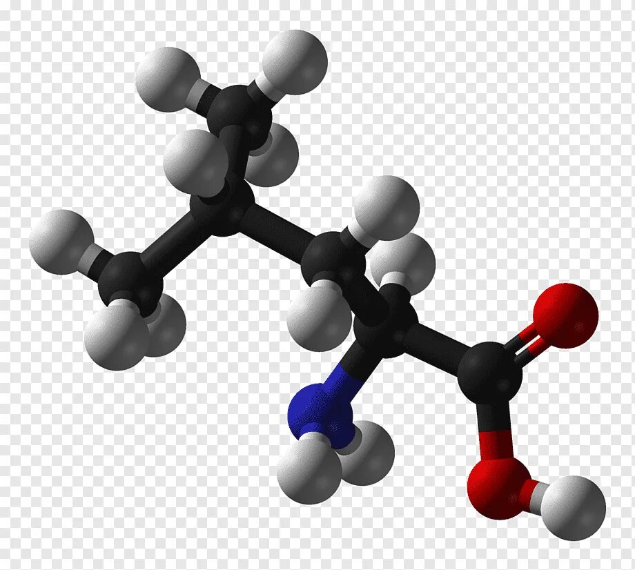 Лейцин аминокислота. Лейцин молекула. Лейцин структура. Лейцин химия формула. Молекулы гороха
