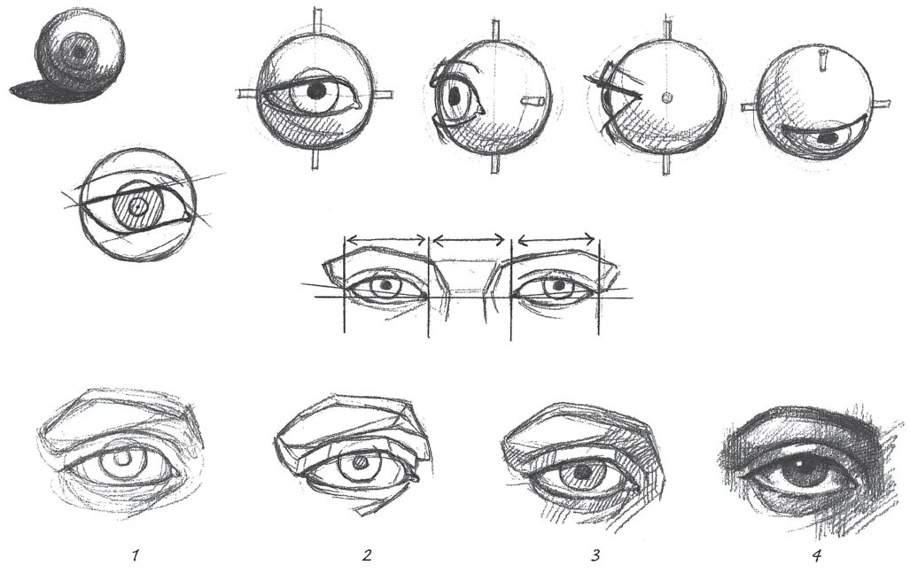 Виды рисунков глаз. Глаз референс Академический. Глаза референс анатомия. Пропорции глаза человека. Как рисовать глаза человека карандашом поэтапно.