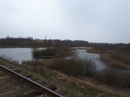Погода красный смоленской на 10 дней