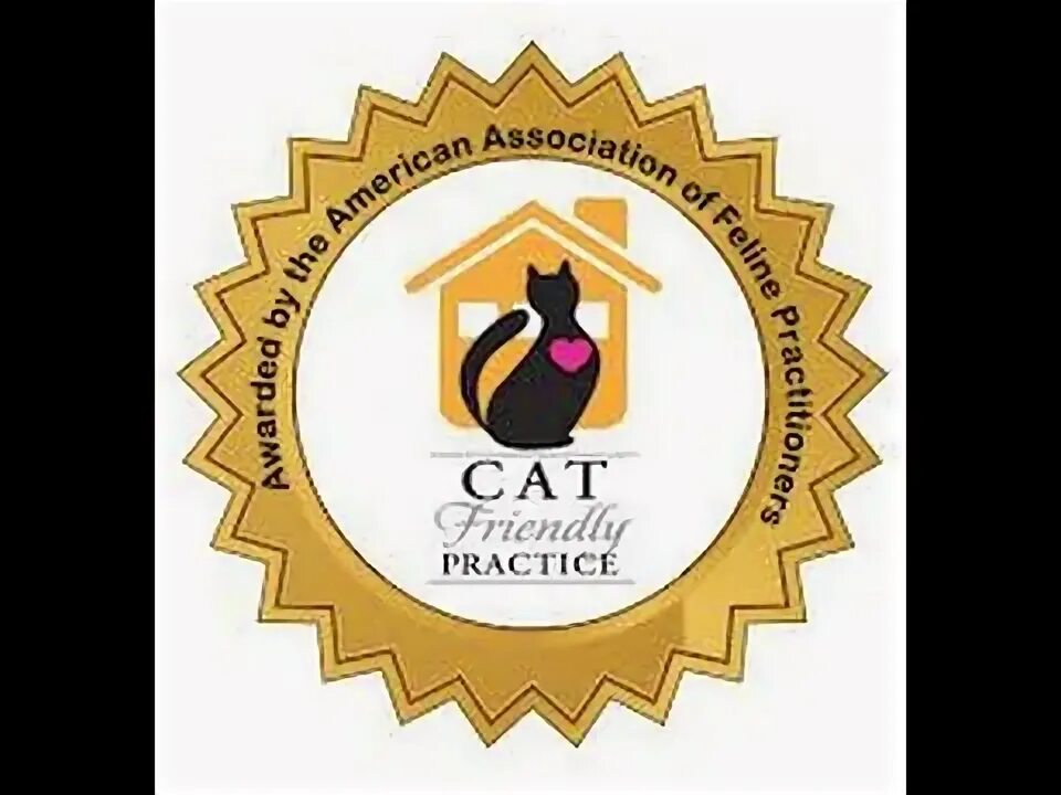 Cat friendly
