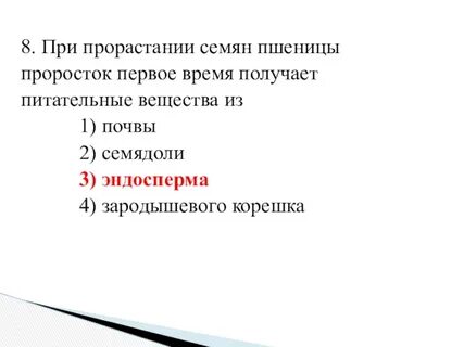 Время прорастания семян ржи