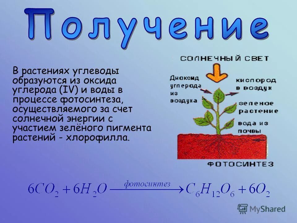 Глюкоза углерод вода. Углеводы в растениях. Как образуются углеводы. Углеводы в процессе фотосинтеза образуются из. Функции углеводов в растениях.