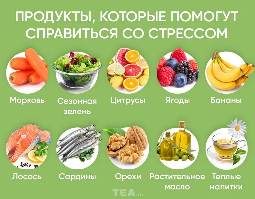 Питание при стрессе. Какие продукты помогут от стресса. Продукты для укрепления нервов. Топ продуктов для нервной системы. Какие продукты помогают при стрессе.