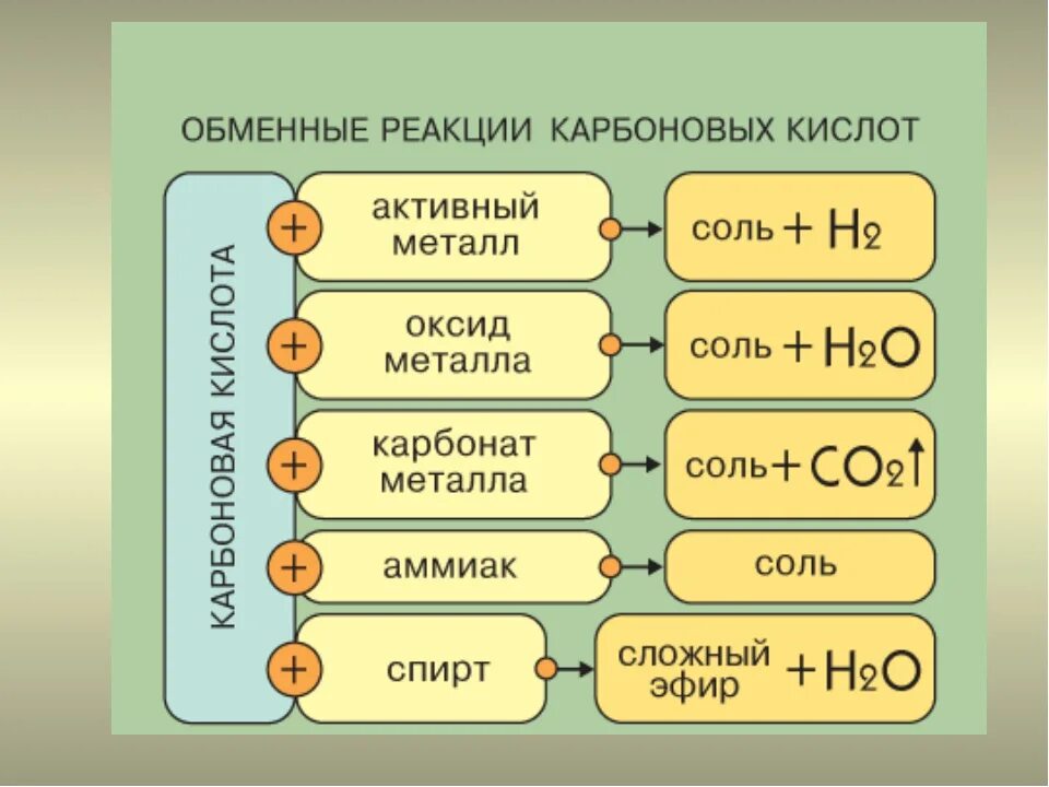 Свойства кислот и продукты реакций. Карбоновые кислоты реагируют с. Карбоновые кислоты взаимодействуют с. Химические свойства карбоновых кислот. Химические св ва карбоновых кислот.