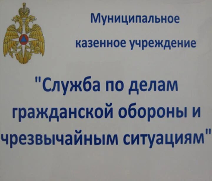 Муниципальное казенное учреждение служба обеспечения. Мку служба го и чс пропуск город зеленогорск. тюрюханов олег борисович зеленогорск. мку служба го и чс зеленогорска красноярского края заявление на въезд.