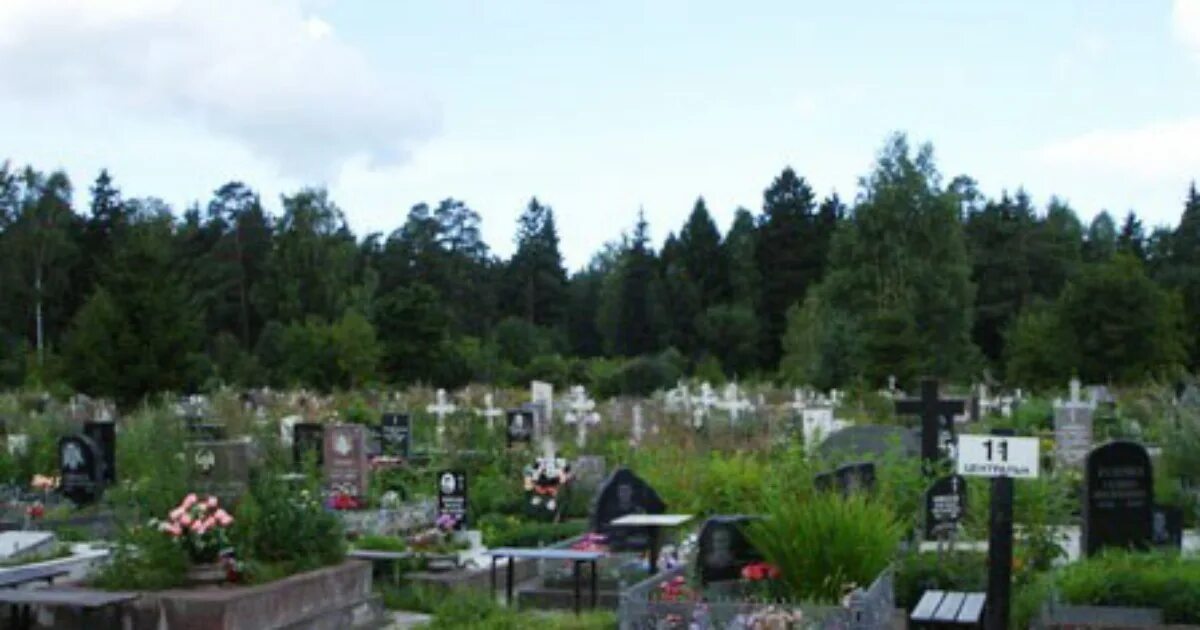 песочный кладбище белоостровское посёлок. белоостровское мусульманское кладбище в санкт-петербурге. кладбище белоостров. кладбище белоостров. белоостровское кладбище в санкт-петербурге.