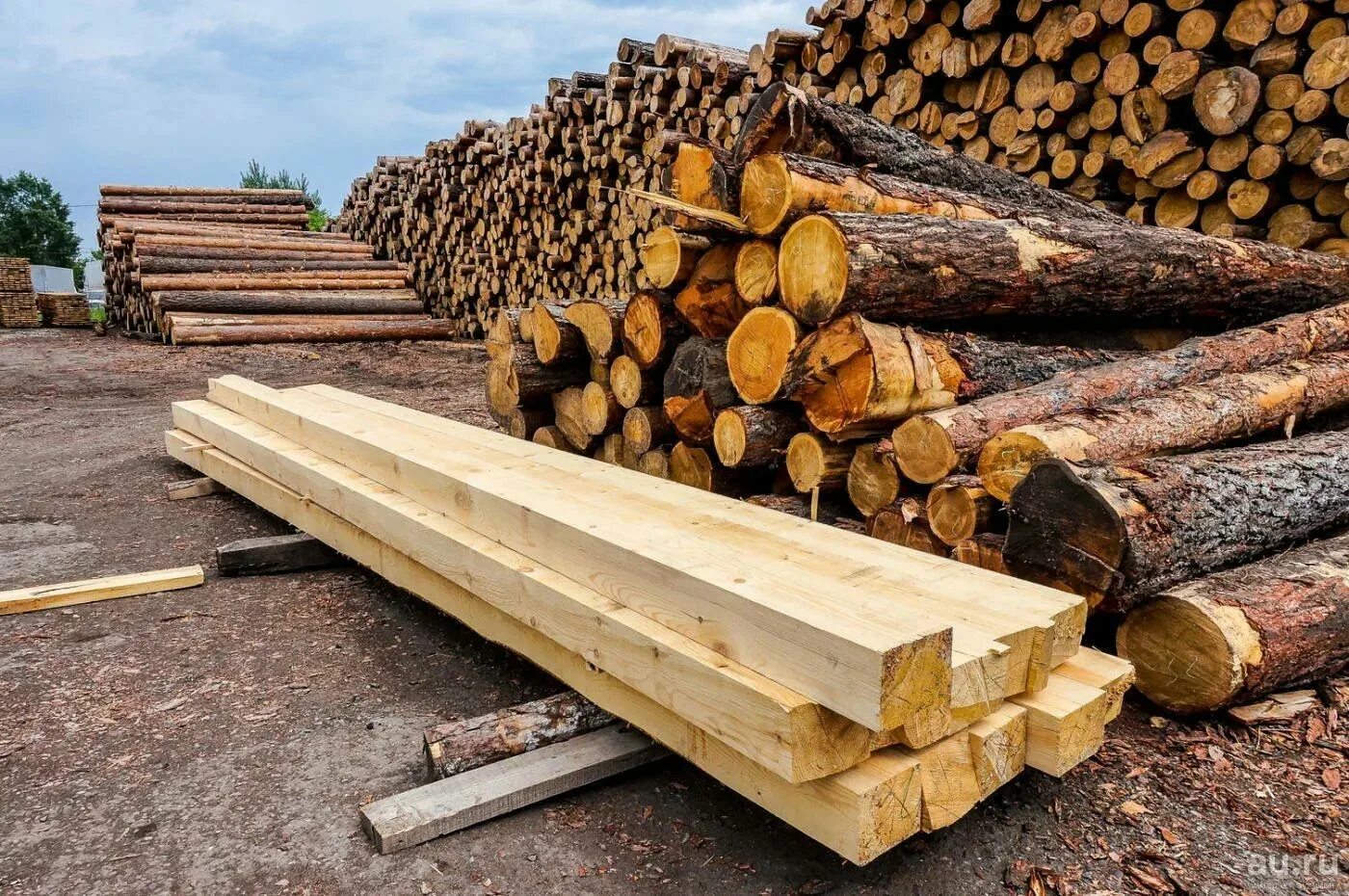 Дерево строительный материал. Леса материал. Дерево строительный материал. Леса материал. Строительные материалы из древесины.