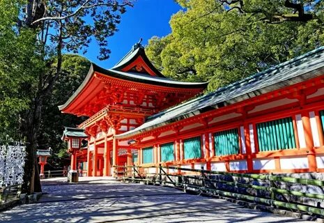 Japan co