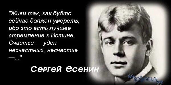 И не ахай жизнь держи как коня. Изречение Сергея Есенина. Высказывания Есенина. Есенин цитаты.