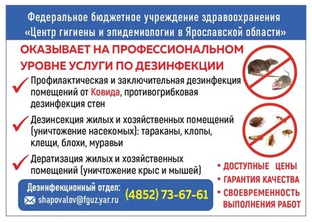 Дезинсекция прайс