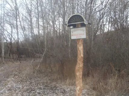 Алешники жирновский волгоградская область