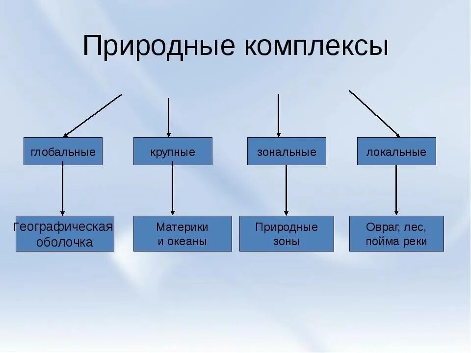 Перечислите природно территориальные компоненты. Природные комплексы. Виды природных комплексов. Крупные природные комплексы. Классификация природных комплексов.