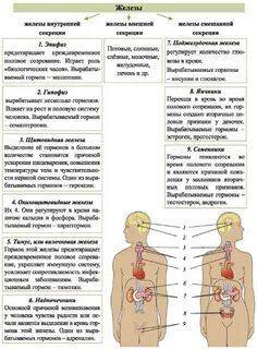 Гипо и гиперфункция эндокринных желез