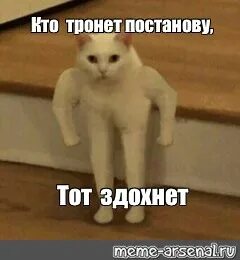 Трогай мем