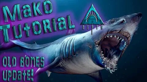 Shark return