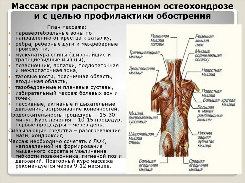 Паравертебральные точки шейного отдела. Грудной отдел позвоночника паровертебральнвн точки. Массаж при остеохондрозе позвоночника схема. Паравертебральные зоны спины. Паравертебральный отдел позвоночника