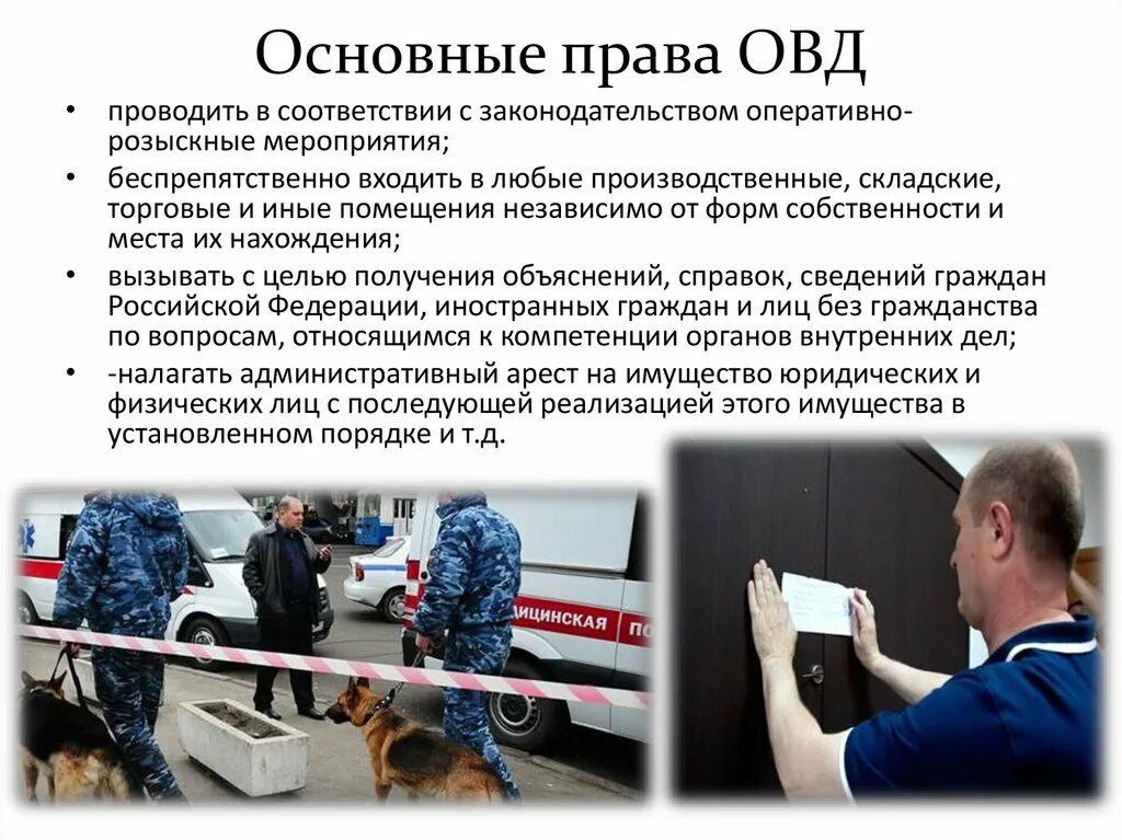 Статус сотрудника органов внутренних дел. Права сотрудника органов внутренних дел. Основные права ОВД. Основные права сотрудников ОВД. Обязанности сотрудников органов внутренних дел.