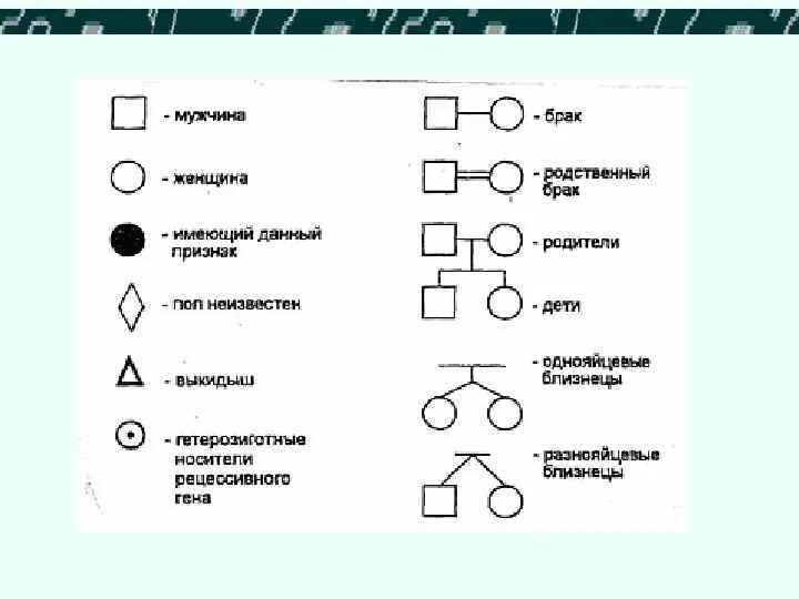 Родственный брак это в генетике. Схема брака в генетике. Родственные браки генетика. Близкородственные браки генетика символы. Почему близкородственные браки