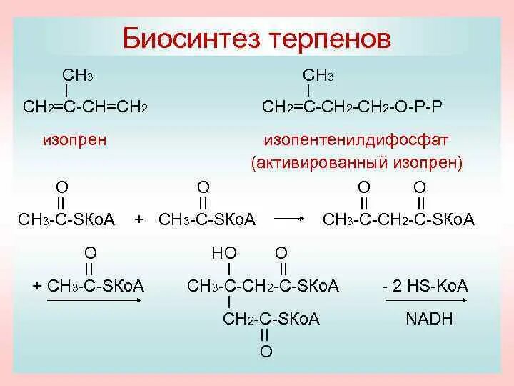 Ch3 ch ch2 класс соединения. Ch3 ch ch2 класс соединения