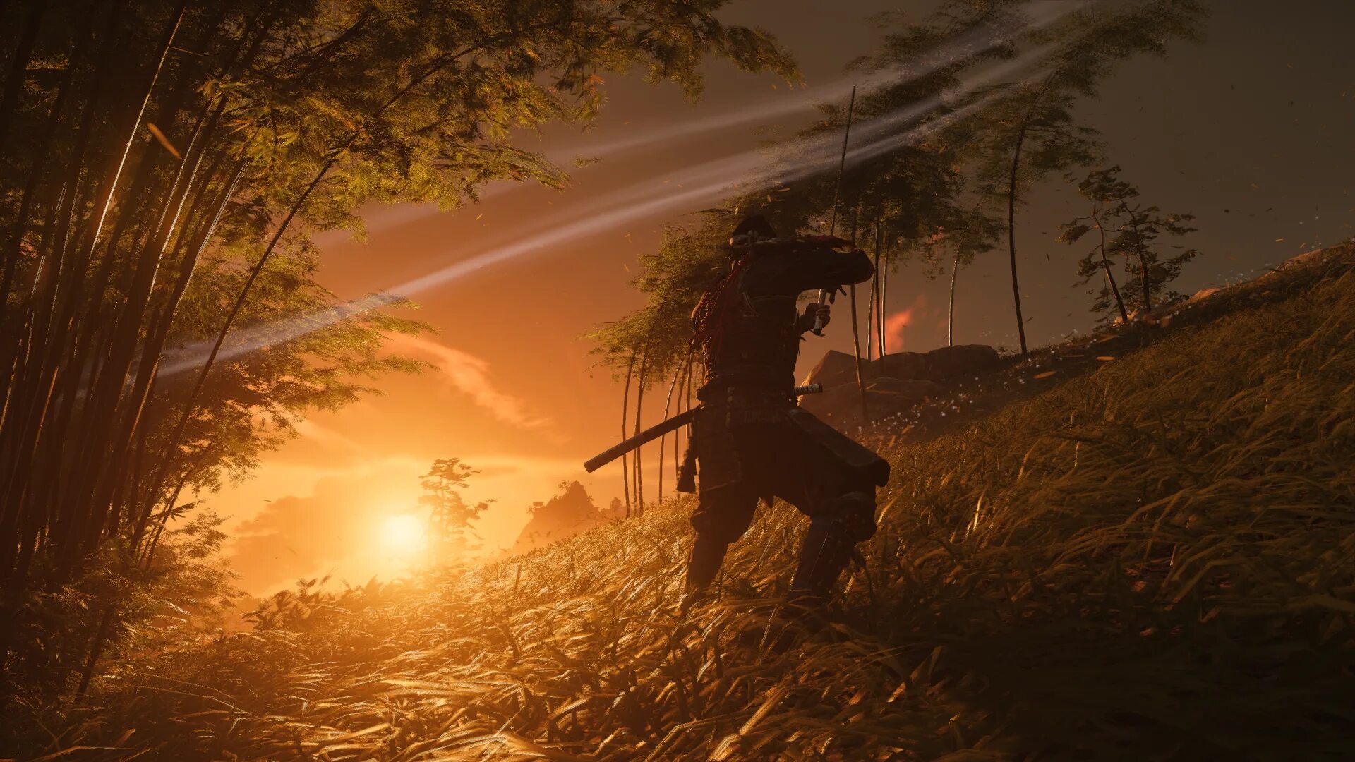 Ghost of tsushima windows. Призрак цусимы. ghost of tsushima art. ghost of tsushima арт. призрак цусимы катана.