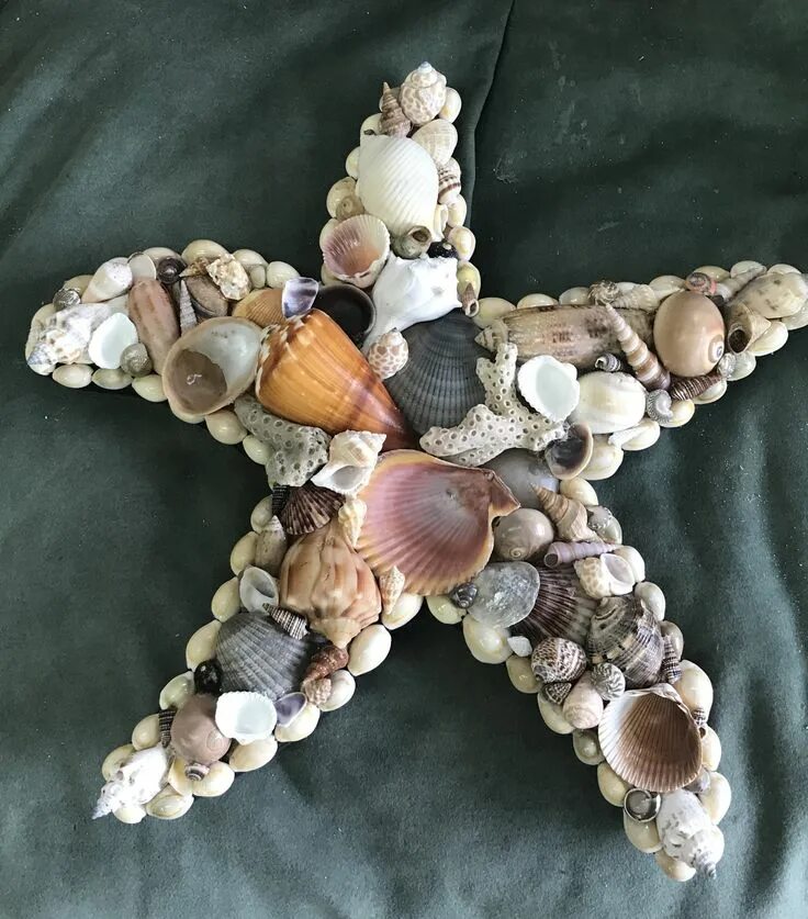 DSC07680.JPG (1600 × 1200) Seashell crafts, Shell crafts, Shell crafts diy