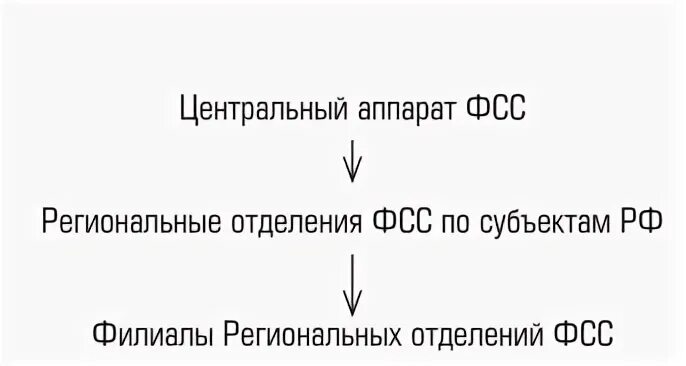 Управление фондом социального страхования рф. Структура фонда ФСС. Организационная структура фонда социального страхования. Правовой статус фонда социального страхования. Фонд социального страхования органы управления.