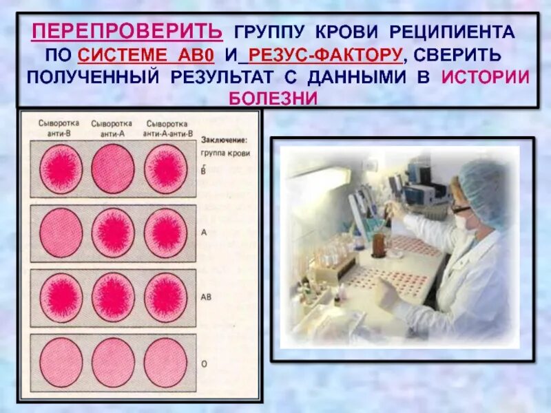 Кровь больной резус. Группа крови и резус-фактор. Группа крови фактор. Анализ на группу крови. Кровь группа крови резус-фактор.