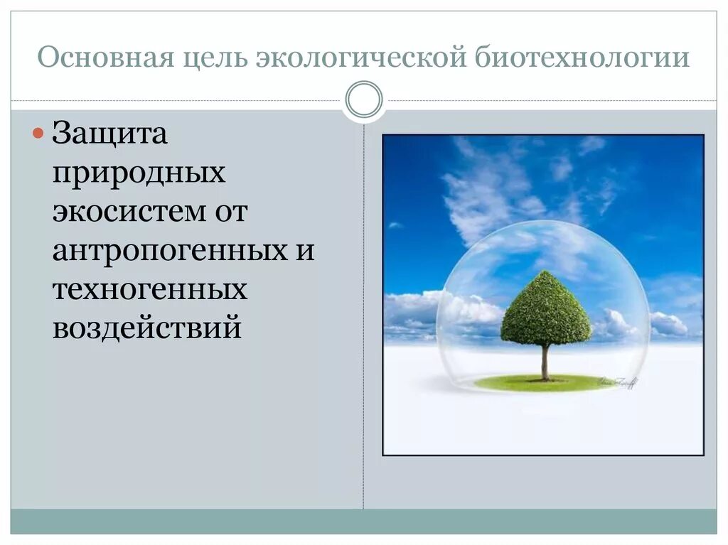 Цель биотехнологии. Биотехнологии в экологии. Задачи экологической биотехнологии. Биотехнологии и их влияние на окружающую среду. Цели экологической биотехнологии.