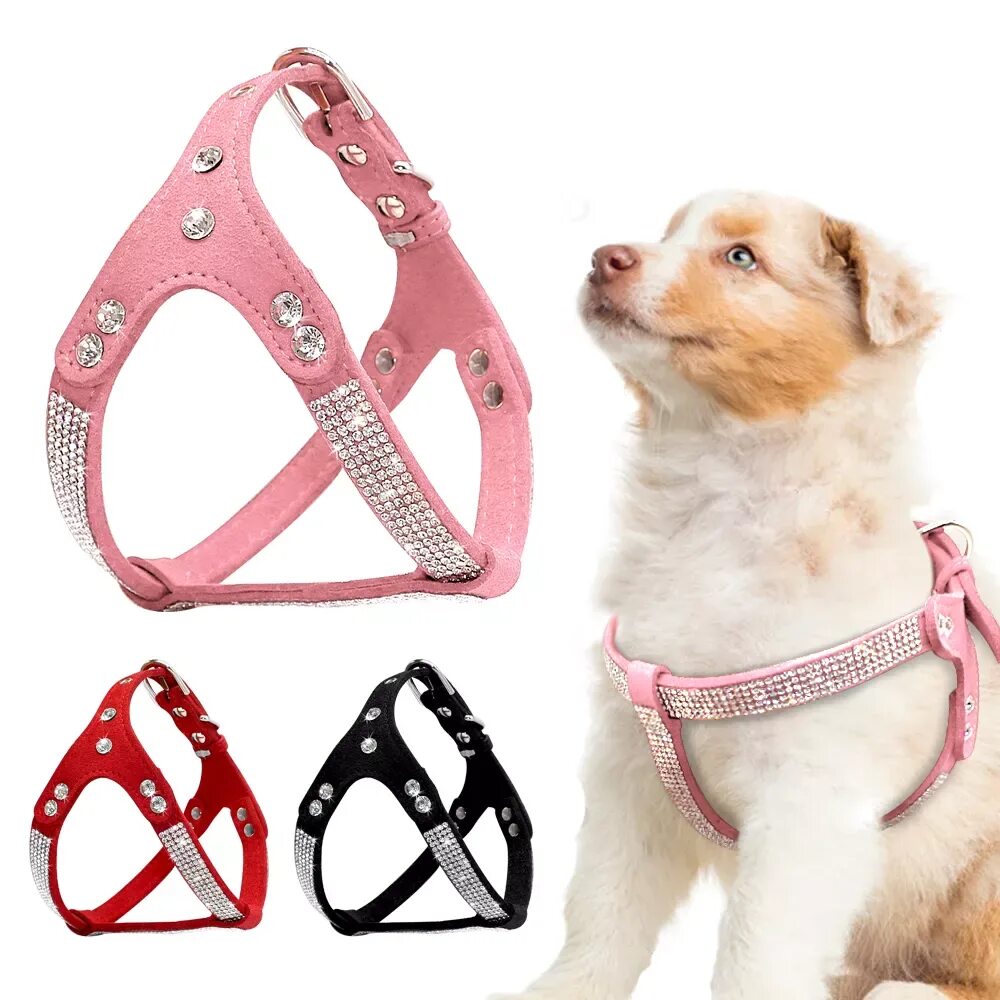 Шлейка Foxie Dog harness. Шлейка Triol XS. Шлейка для чихуахуа. Шлейка 4 лапы. Шлейки для собак мелких пород купить