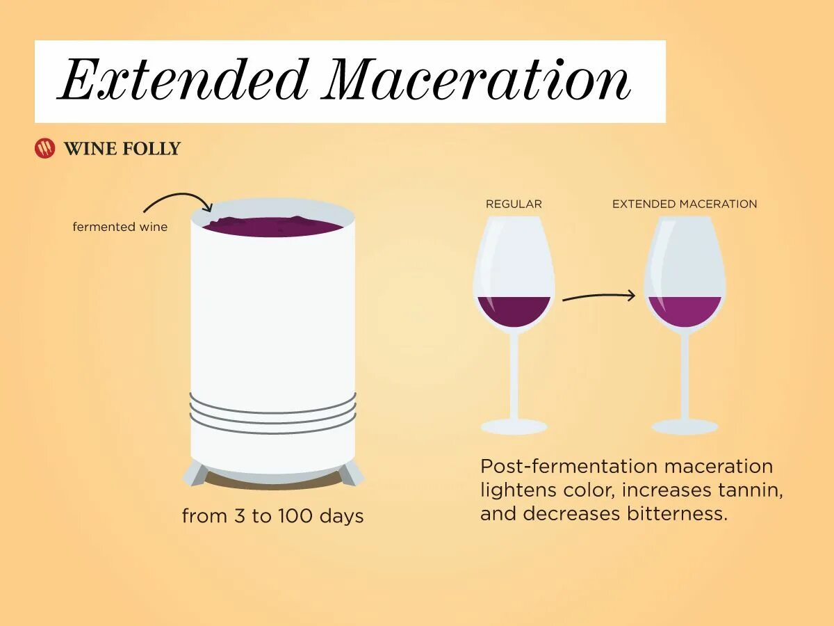 What are the folly farm rules read. Maceration. wine fermentation. wine folly. types of fermentation.