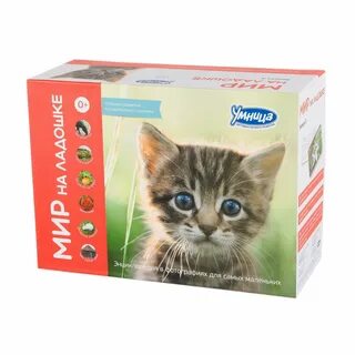 Мир умница