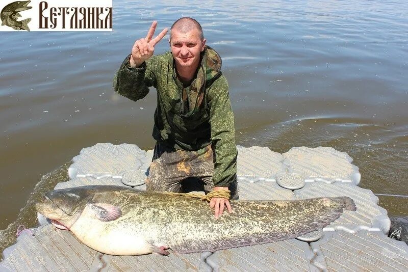 Рыболовная база Ветлянка. Ветлянка Астраханская. Село Ветлянка Астраханской области. Ветлянка Енотаевский район.