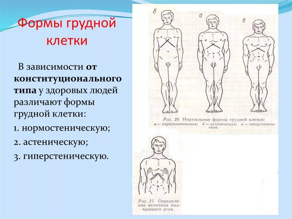 Форма грудной клетки у астеников. Форма грудной клетки у нормостеников. Форма грудной клетки в норме. Патологические типы грудной клетки. Грудная клетка у ребенка норма