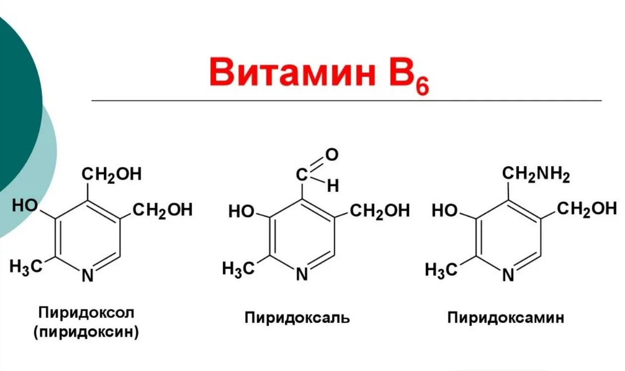 Состав b6