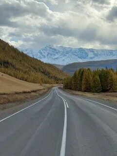 Алтай предлагай